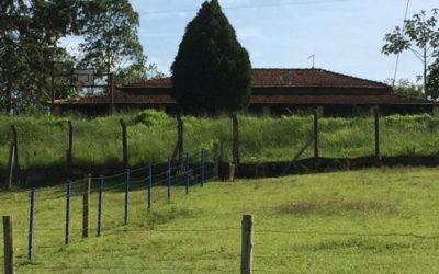 anuncio_1892_050309